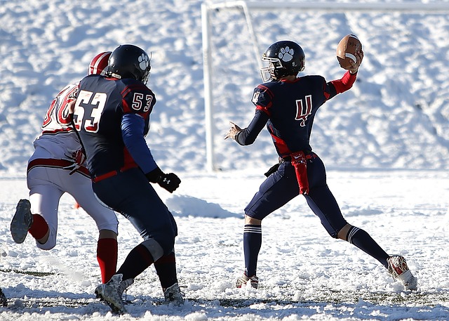 使得他在双 使得他在双