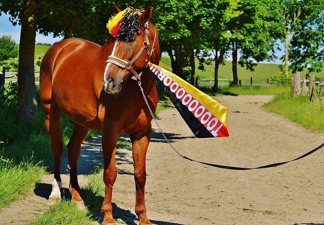 面对快船和 面对快船和