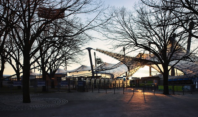 运动员展现 运动员展现